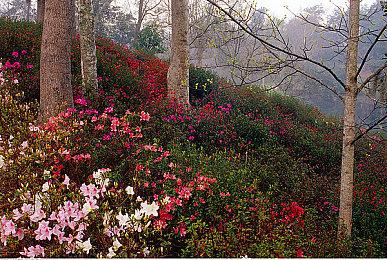 大型3D动漫MMORPG端游 于8月25日强势登陆Steam